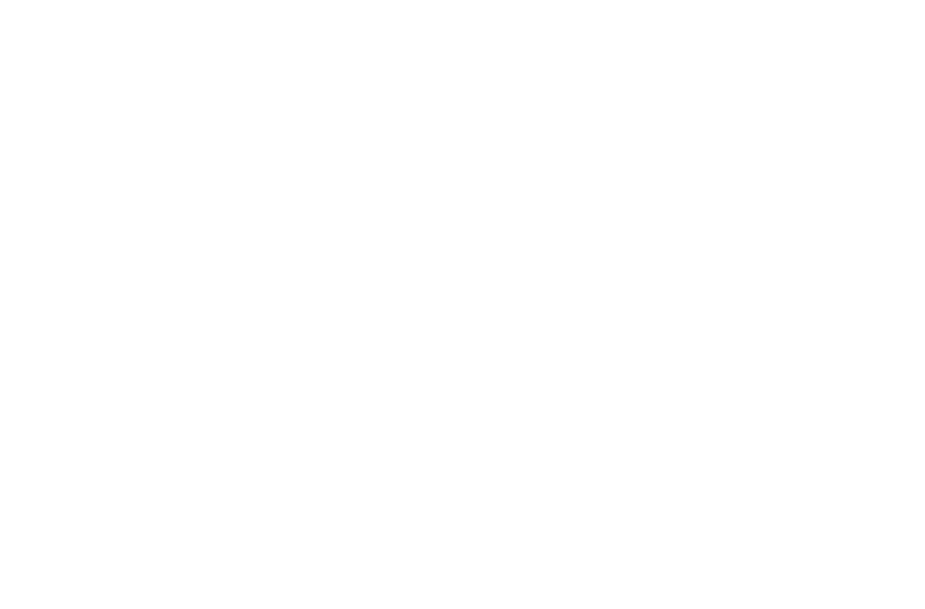 HiSite 360